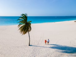 eagle-beach-aruba-palm-trees-on-the-shoreline-of-2025-01-09-01-12-43-utc